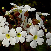 상세 바로가기